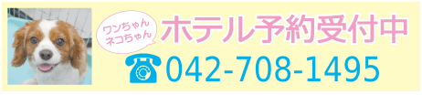 ペットホテル予約受付中