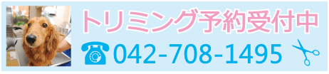 トリミング予約受付中